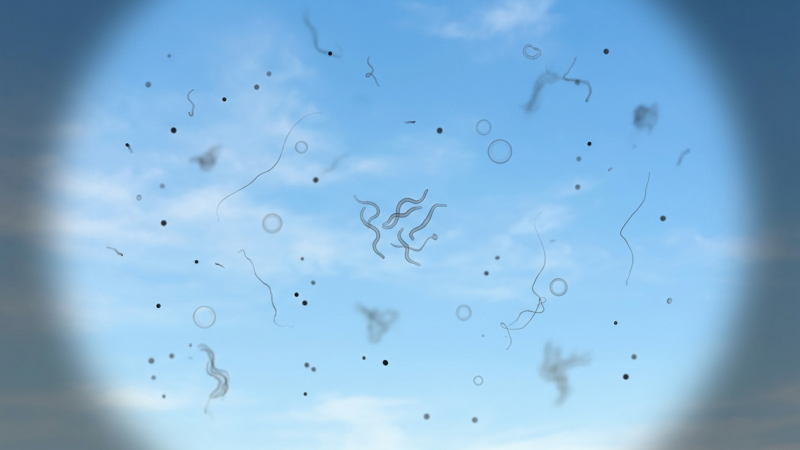 manchas flutuantes na visão