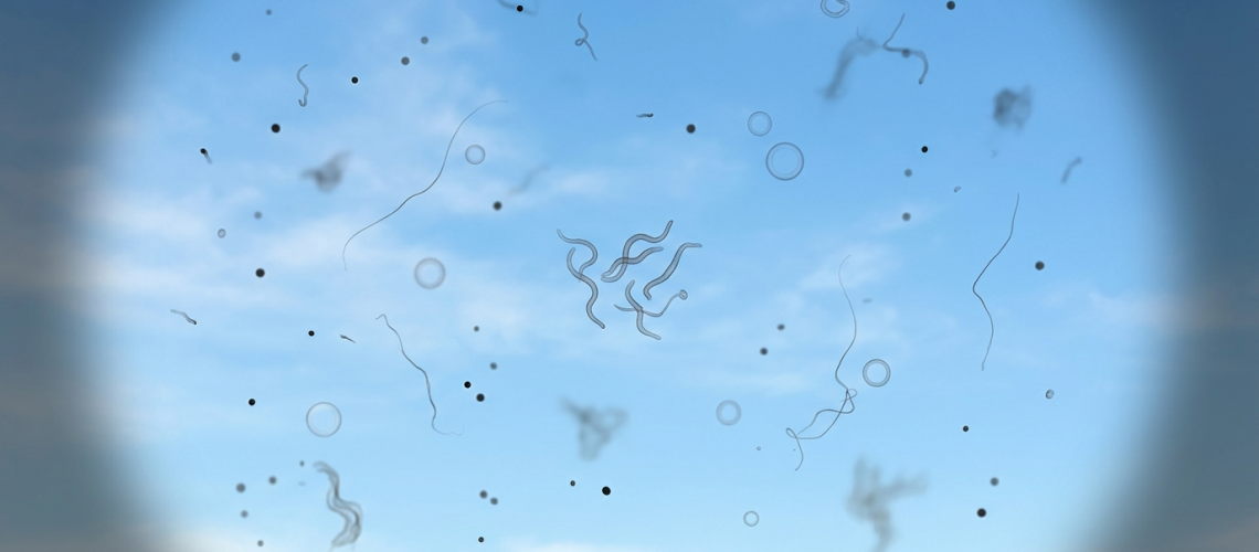 manchas flutuantes na visão