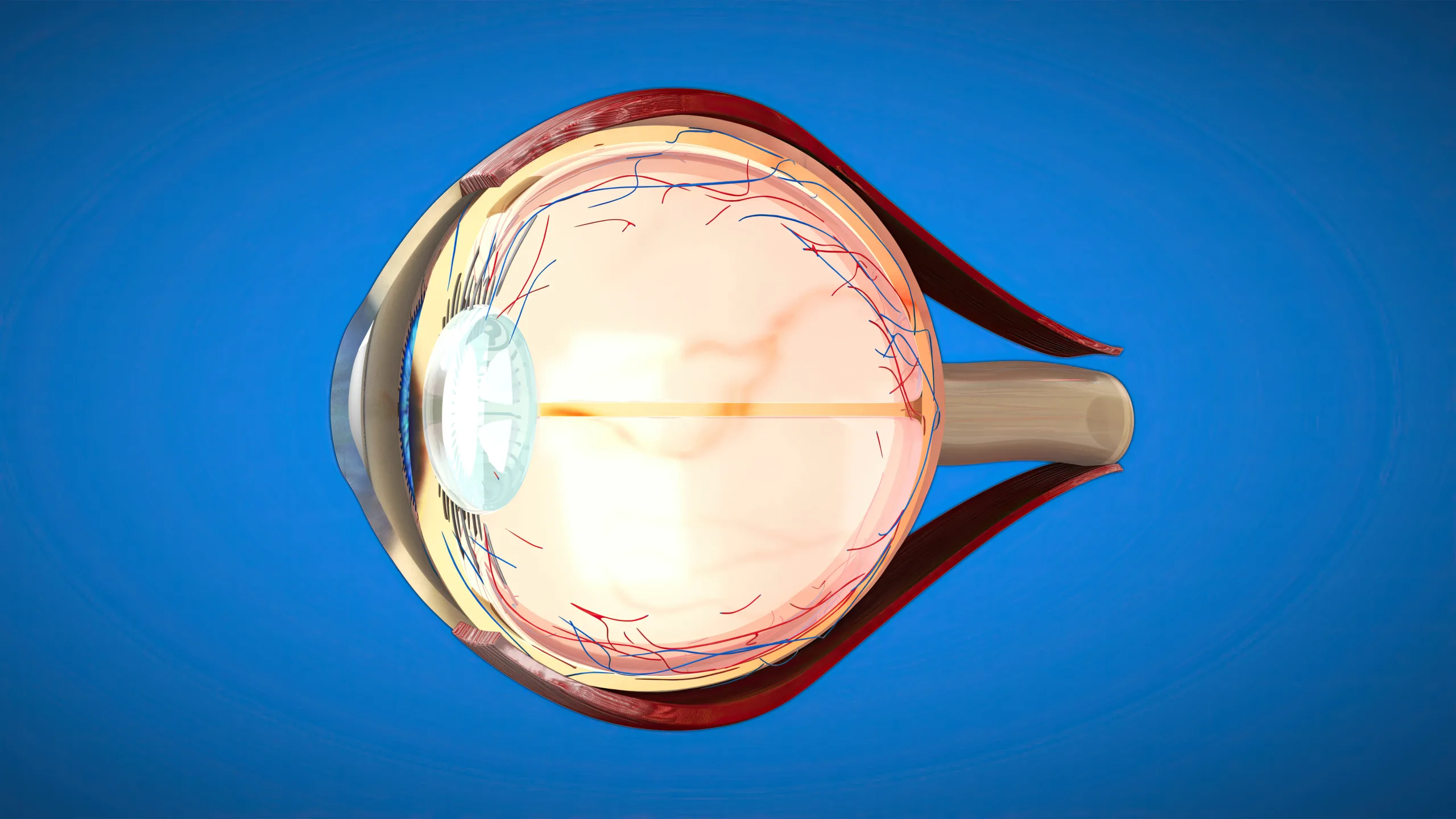 Conheça os principais problemas na retina, como DMRI, descolamento e retinopatia diabética, e seus sintomas. COI, no Tatuapé, São Paulo.