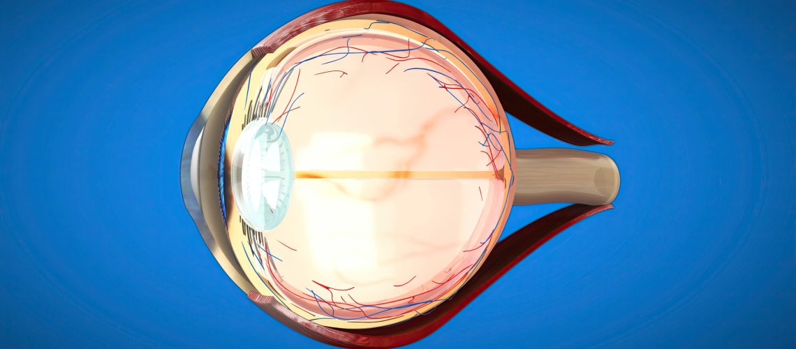 Conheça os principais problemas na retina, como DMRI, descolamento e retinopatia diabética, e seus sintomas. COI, no Tatuapé, São Paulo.